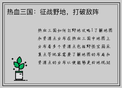 热血三国：征战野地，打破敌阵
